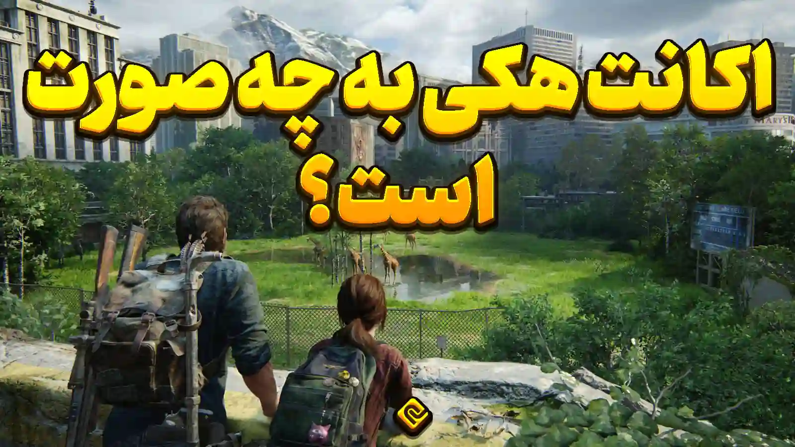  اکانت هکی به چه صورت است؟